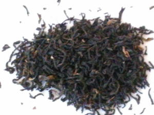 �A�b�T���f�B�R�����t