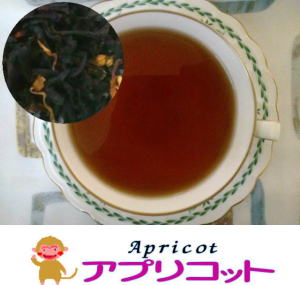 �A�v���R�b�g