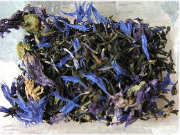 �u���[���f�B���t