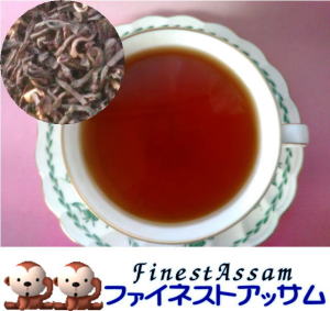 �t�@�C�l�X�g�A�b�T��