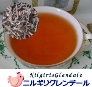 �j���M���O�����f�[��