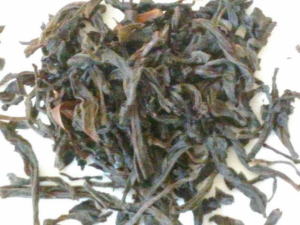 �j���M���^�C�K�[�q�����t