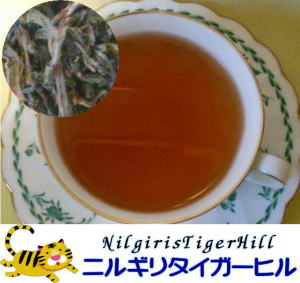 �j���M���^�C�K�[�q��