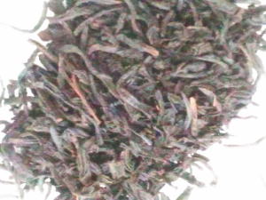 �o�j�����t